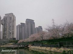 -西北湖绿化广场