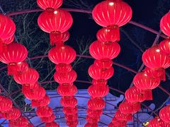 -北京石景山游乐园