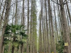 -上海怡沁园度假酒店