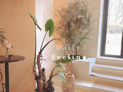 -HUATA 'Holiday Plan 花榻