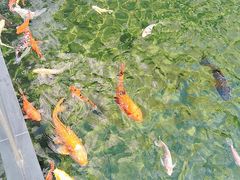 -太子园林酒家