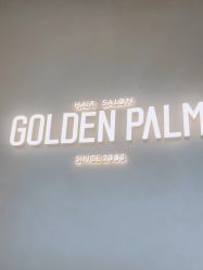 -金棕榈