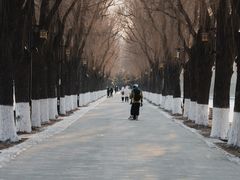 -北陵公园