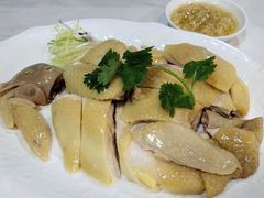 白切鸡-明本湛江鸡•海鲜小厨(陈家祠店)