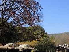 -虞山风景区