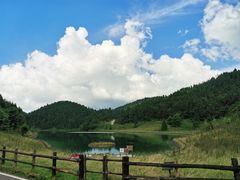 -武陵山森林公园