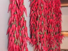 -上名堂·鱼头好吃(体育场路店)