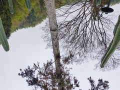 -MOJ coffee(瓯海泽雅水碓坑店)