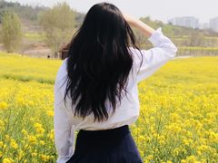 -西海岸生态观光园