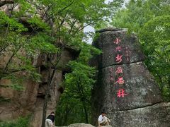 -汤旺河林海奇石景区
