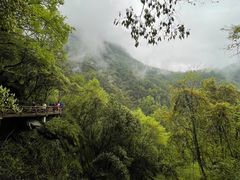 -岳西天峡风景区