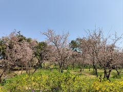-无锡梅园公园
