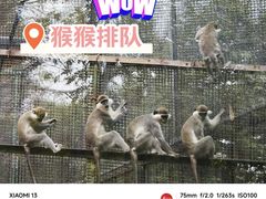 -郑州市动物园
