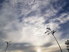 -迪士尼小镇