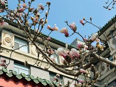 -庐灶江南·江南菜·四合院Bistro(东直门雍和宫·原华侨宾馆店)