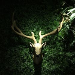 点击看大图 -V-STAR威斯达•高级私人定制