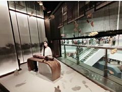 -京华烟云·北京烤鸭(领展购物广场·中关村店)
