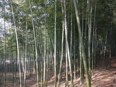 -陶祖圣境风景区