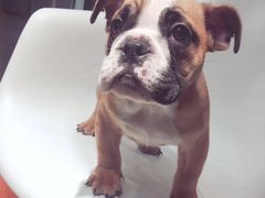 -汉堡王(常熟美城店)