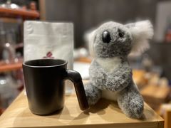 -了不起的考拉咖啡店(高新店)