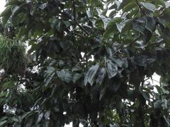 -南极·小龙虾·湘式拌饭(南街店)