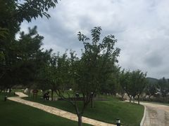 -静之湖湖畔餐厅