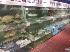 水产区-胖姐渔村(中源大道店)