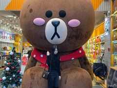 -line friends(明洞旗舰店)