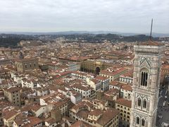 -圣母百花大教堂穹顶