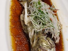 清蒸笋壳鱼-望乡楼上海菜(日月光店)