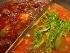 -湊湊火锅·茶憩(新中关购物中心店)
