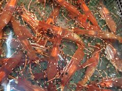 -海九澎湖海鲜餐厅