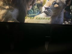 -英皇电影城(英皇集团中心IMAX店)