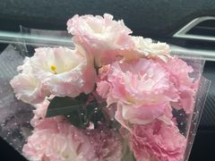 -循礼门鲜花花市(武汉循礼门店)