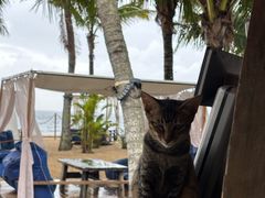 -精酿农场Brew Farm·沙漠绿洲餐厅