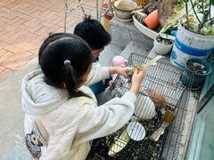-柳沟豆腐宴69号福豆堂