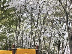 -重庆园博园