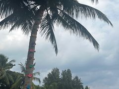 -石梅湾艾美度假酒店