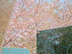 -龙美术馆(西岸馆)