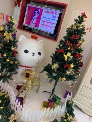 -咪咪比基尼脱毛专业店