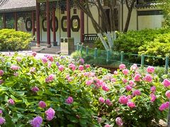 -常州古运河南大街文化旅游区-人民公园