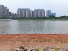 -金沙湖公园