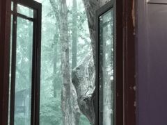 -也枫·小黄楼(南山路旗舰店)