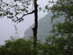 -陕西省红河谷森林公园