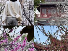 -堤角公园