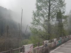 -武陵山森林公园