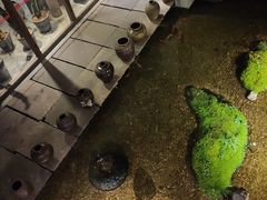 -几荷·恰似故人来(秀水广场店)