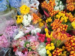 -循礼门鲜花花市(武汉循礼门店)