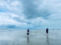 -红树林天天赶海