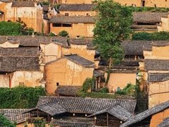 -杨家堂村